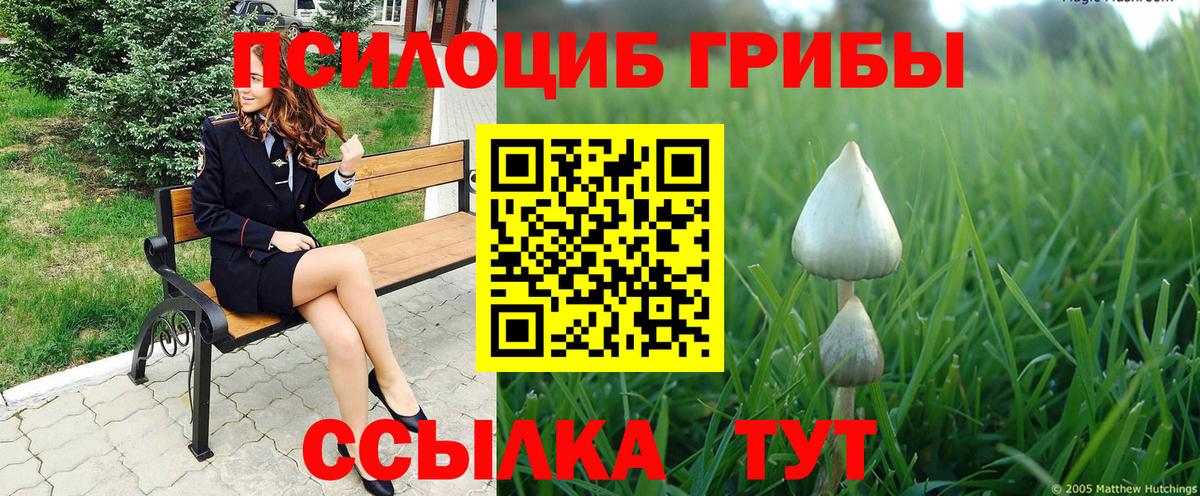 Бугуруслан  Псилоцибиновые грибы ЛСД  Галлюциногенные грибы Cubensis  Вход с VPN 